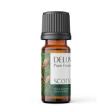 Scots Pine Pure Essential Oil