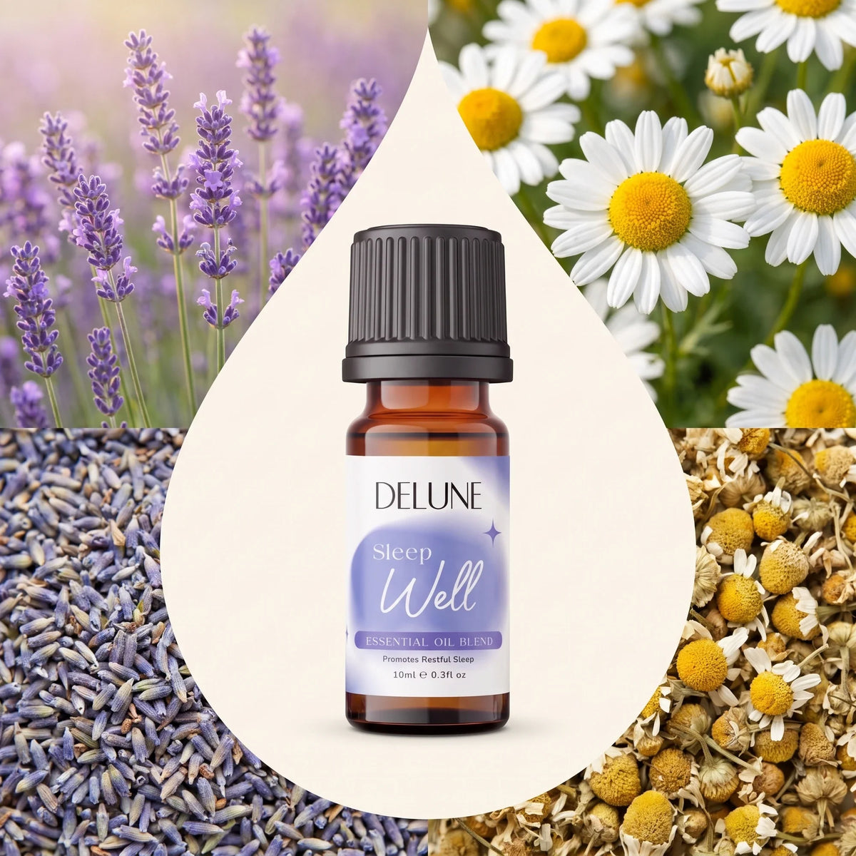Sleep Well – blanding af æteriske olier fra Delune omgivet af sine ingredienser: frisk og tørret lavendel og kamille