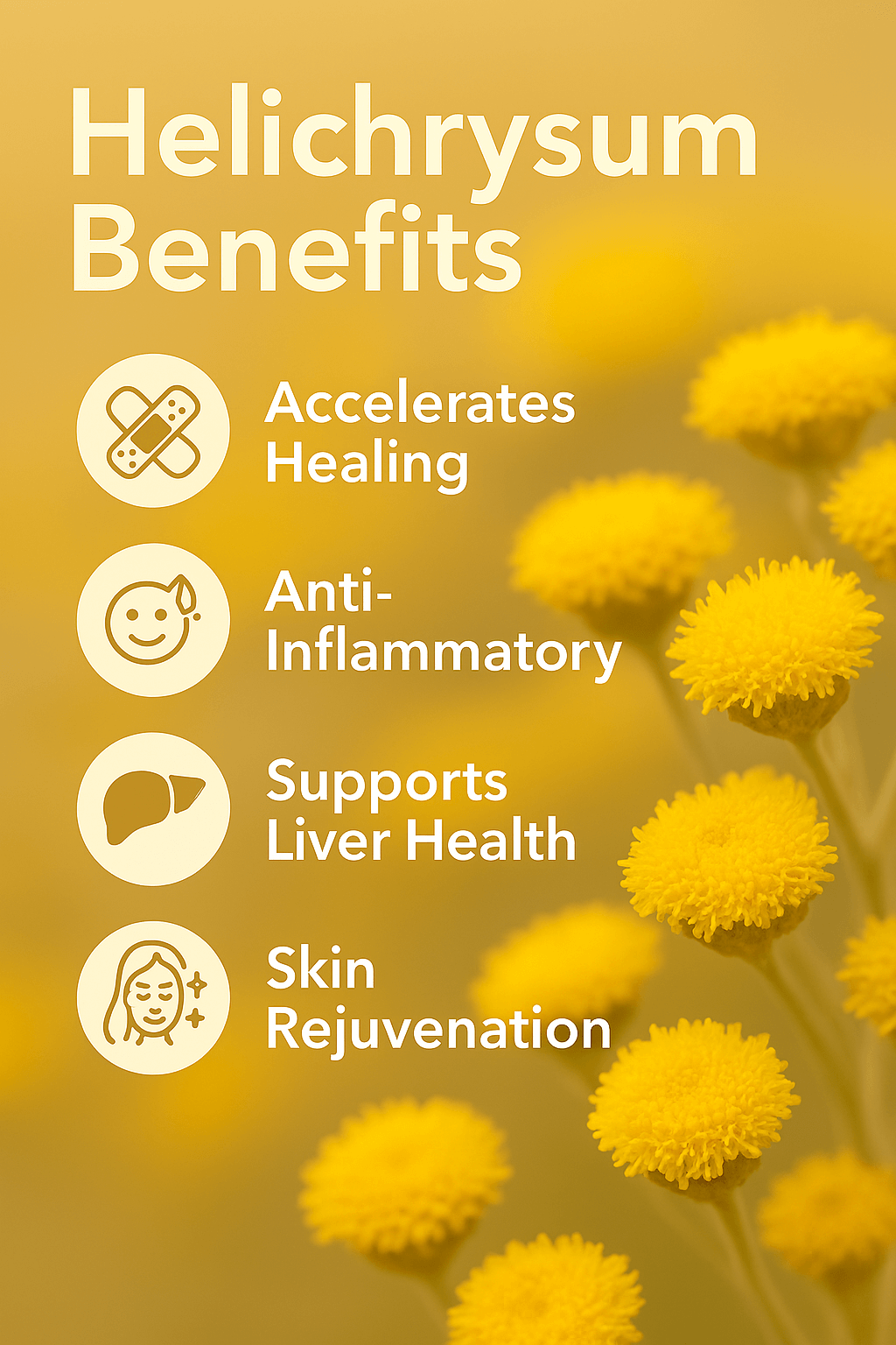 Helichrysum (Immortelle) Pure Essential Oil - Delune