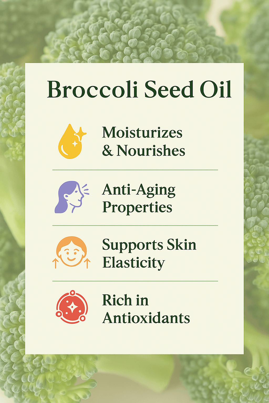Koldpresset broccolifrøolie, billede 2