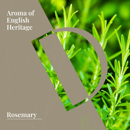 Rosemary Organic Wellness Grade Essential Oil - Delune 
