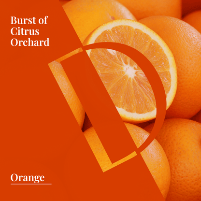 Sweet Orange Organic Wellness Grade Essential Oil - Delune 