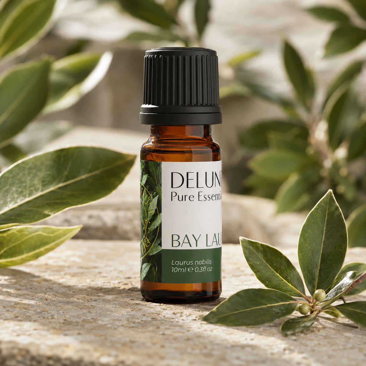 Delune Bay Laurel Pure Essential Oil 10ml lifestyle product image