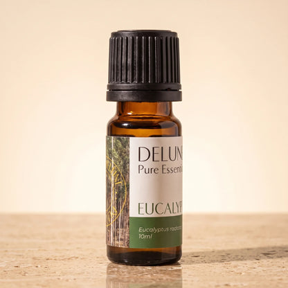 Delune Eukalyptus (radiata) – ren æterisk olie, 10 ml ravfarvet glasflaske på varm travertin