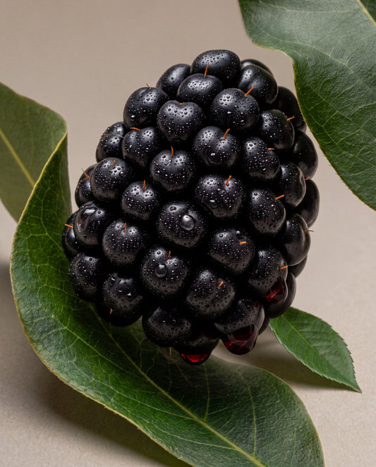 Bramble & Blackberry – duftnoter: et modent brombær mellem brombærblade