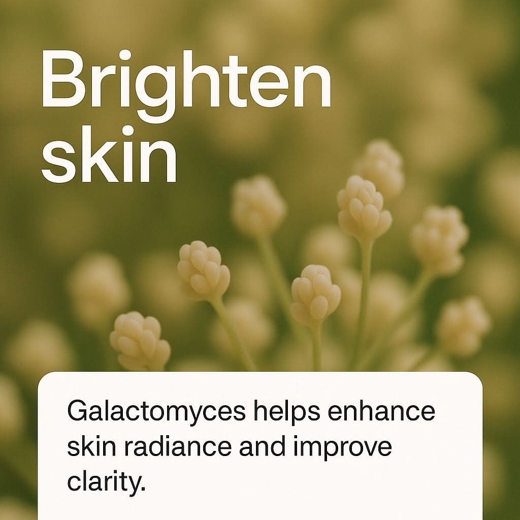 Galactomyces 100 % opklarende essens – Delune