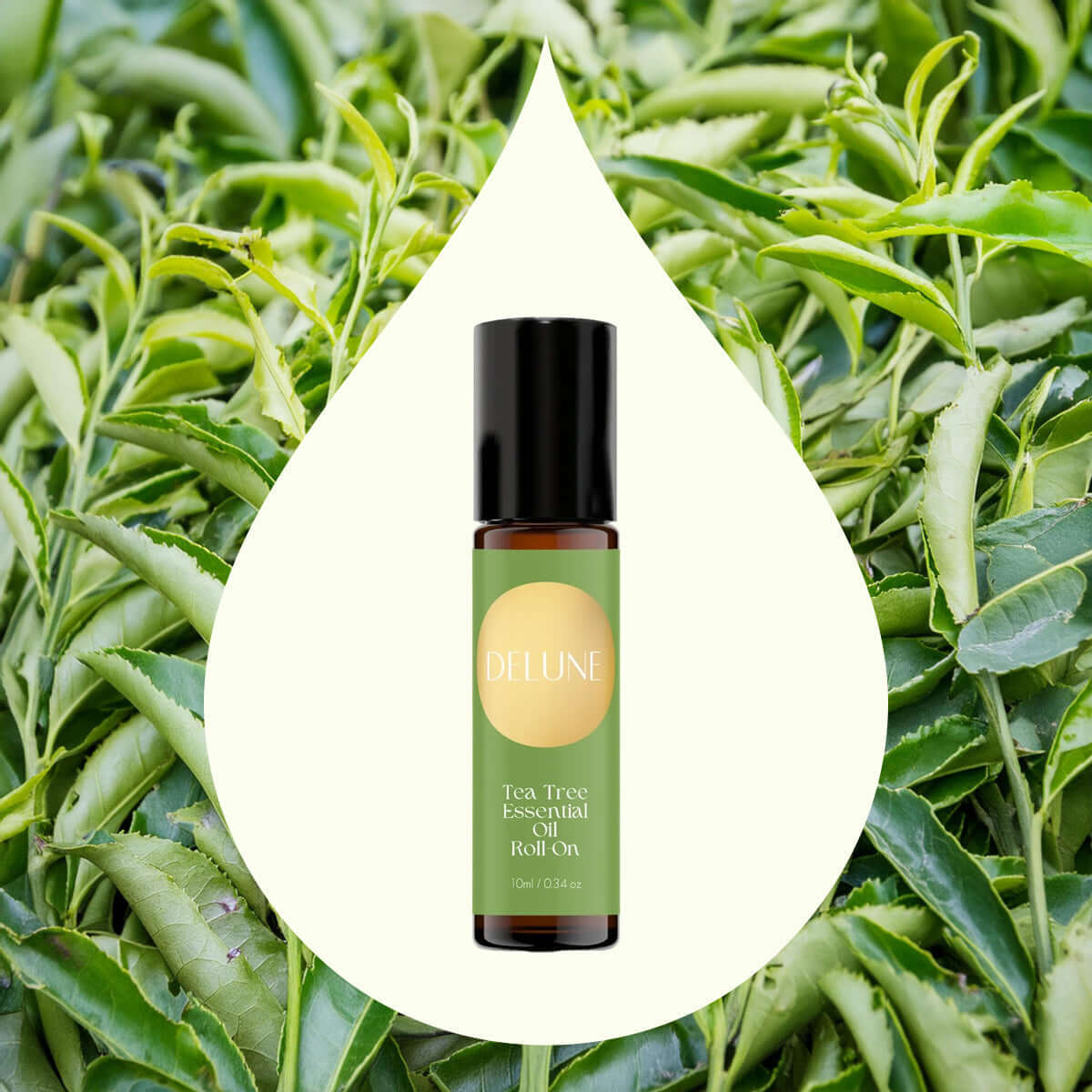 Tea tree – roll-on med æterisk olie – Delune